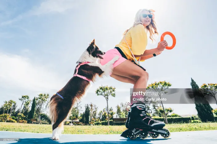 Dia internacional do Cachorro